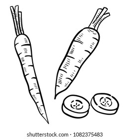 Hand drawn illustration of carrot.