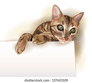 hand drawn illustration of  the cat with banner. Watercolor style.