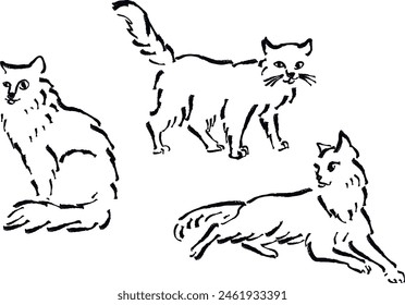 hand drawn illustration of a cat in different poses. vector line art. black and white drawing of an animal.