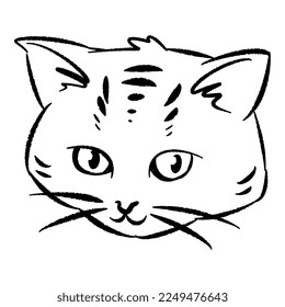 Hand drawn illustration of cat face with chubby cheeks. line art, black outline. cute kitten cartoon character. doodle sketch. Perfect for print, poster, greeting card.