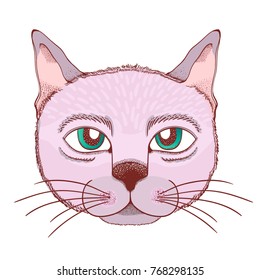 Hand drawn illustration of a cat face, with beautiful eyes character.
