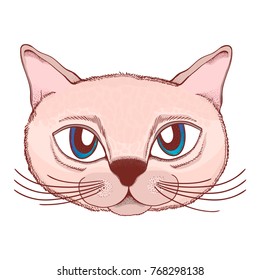 Hand drawn illustration of a cat face, with beautiful eyes character.