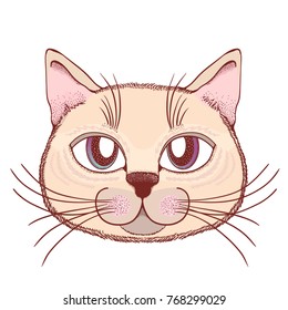 Hand drawn illustration of a cat face, with beautiful eyes character.