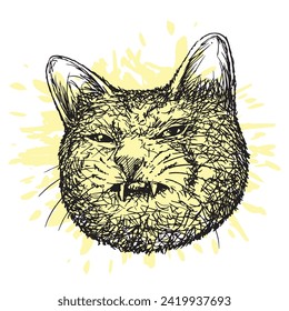 Hand drawn illustration of cat isolated on abstract background