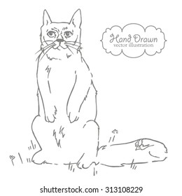 Hand drawn illustration. Cat sketch.