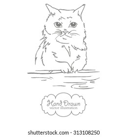 Hand drawn illustration. Cat sketch.