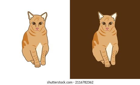 Ilustración Dibujada A Mano Del Gato Con Dos Antecedentes
