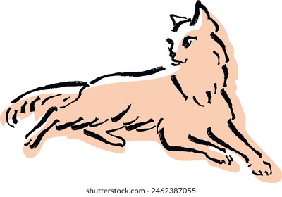 hand drawn illustration of a cat. vector line art. cute kitten drawing .