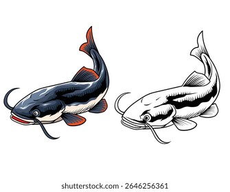 Hand Drawn Illustration of Catfish Isolated with black and white version