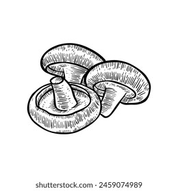 hand drawn illustration of Champignon mushrooms in black and white