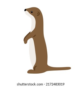 Hand drawn illustration with charming little weasel. Cute forest character. Vector lovely weasel in flat style isolated on white background. Cartoon woodland creature. Childish illustration