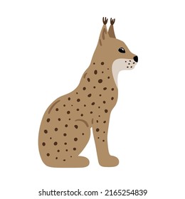 Ilustración dibujada a mano con lince encantador. Carácter de bosque lindo. Vector linx hermoso en un estilo plano aislado sobre fondo blanco. Criatura de los bosques de dibujos animados. Ilustración de color infantil