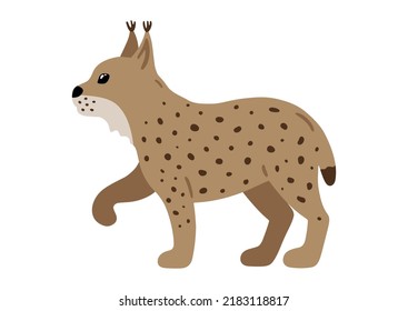 Hand drawn illustration with charming lynx. Cute forest character. Vector lovely lynx in flat style isolated on white background. Cartoon woodland creature. Childish colorful illustration