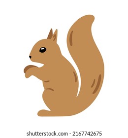 Hand drawn illustration with charming squirrel. Cute forest character. Vector lovely squirrel in flat style isolated on white background. Cartoon woodland creature. Childish colorful illustration