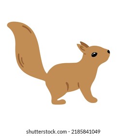 Hand drawn illustration with charming squirrel. Cute forest character. Vector lovely squirrel in flat style isolated on white background. Cartoon woodland creature. Childish colorful illustration