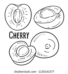 Hand drawn illustration of Cherry.