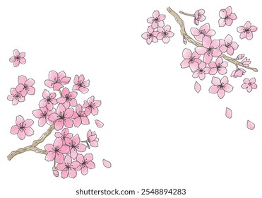 Ilustração desenhada à mão de flores de cerejeira