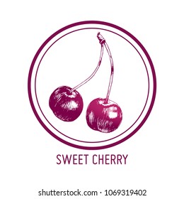 Hand drawn illustration of  cherry isolated on white background in round frame. Vector engraving fruit.