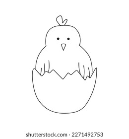 Hand drawn illustration of a chick. Isolated on white background
