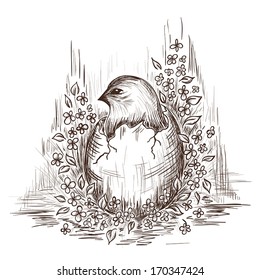 Hand drawn illustration of chicken in the egg