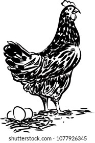hand drawn illustration chicken with eggs