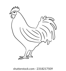 Hand drawn illustration of a Chicken. Vector isolated on a white background.