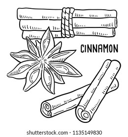 Hand drawn illustration of cinnamon.