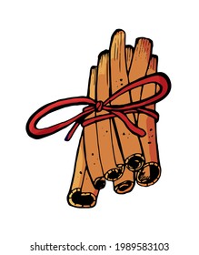 Hand drawn illustration of cinnamon sticks tied with rope isolated on white background