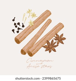 Hand drawn illustration of cinnamon sticks with flower buds and anise stars. Culinary graphic elements, food ingredients, spice drawing with background colouring