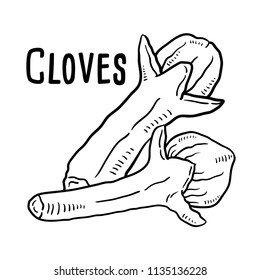 Hand drawn illustration of cloves.