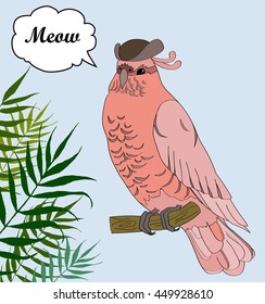 Hand drawn illustration of cockatoo. Talking parrot-pirate. Vector illustration with bird. Summer vector background with pink cockatoo. Vector template for t-shirts