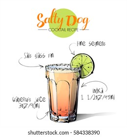 Hand drawn illustration of cocktail Salty dog. Vector collection.