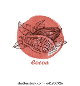 Hand drawn illustration with cocoa beans. Vintage watercolor background. Poster template frame with hand drawn cocoa for menu design. Healthy food concept.