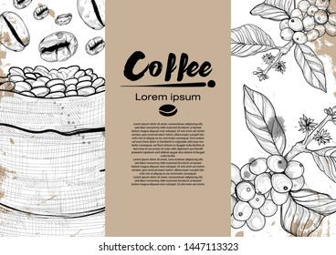 Hand Drawn Illustration Of Coffee Bean In Bag And Coffee Tree For Coffee Product Label. Sketch