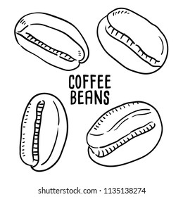 Hand drawn illustration of coffee beans.