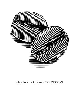 Hand Drawn illustration of coffee beans in a vintage wood cut style. 