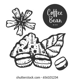 Hand drawn illustration of Coffee beans and Coffee tree.