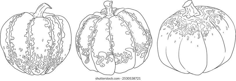 Hand drawn illustration or coloring pages of different types of pumpkins. Autumn vegetable, fall gourd. Seasonal, Halloween and Thanksgiving decoration.	
