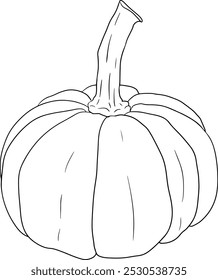 Hand drawn illustration or coloring pages of different types of pumpkins. Autumn vegetable, fall gourd. Seasonal, Halloween and Thanksgiving decoration.	
