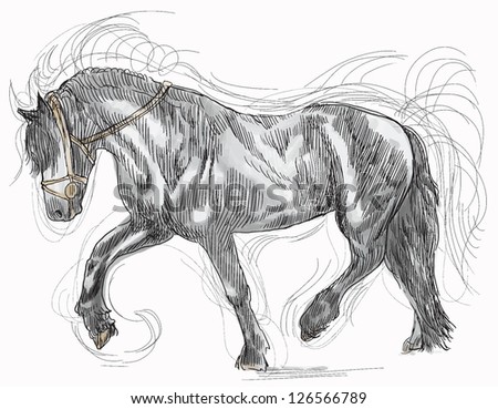 A hand drawn illustration converted into vector - Horse. /// Editable in four layers.