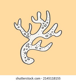 Ilustración a mano de un coral.  Una ilustración vectorial EPS10