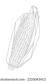 Hand drawn illustration of corn, a type of food crop. It is a grain grown in summer and eats yellow kernels.