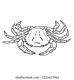 Hand drawn illustration of crab.