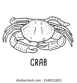 Hand drawn illustration of crab.