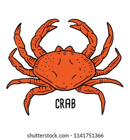Hand drawn illustration of crab.