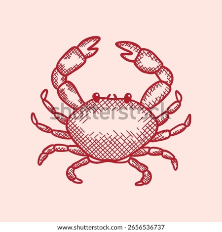 Hand drawn illustration crab with claws. Marine crawfish with pincers. Undersea animal, seafood. Ocean crustacean. Restaurant delicacy seafood. Design decorative element