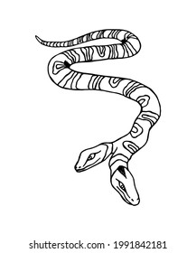 Hand drawn illustration of crawling two headed snake. Vector art. Tattoo design