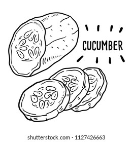 Hand drawn illustration of Cucumber.