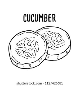 Hand drawn illustration of Cucumber.