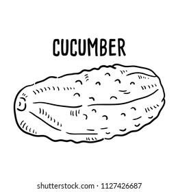 Hand drawn illustration of Cucumber.